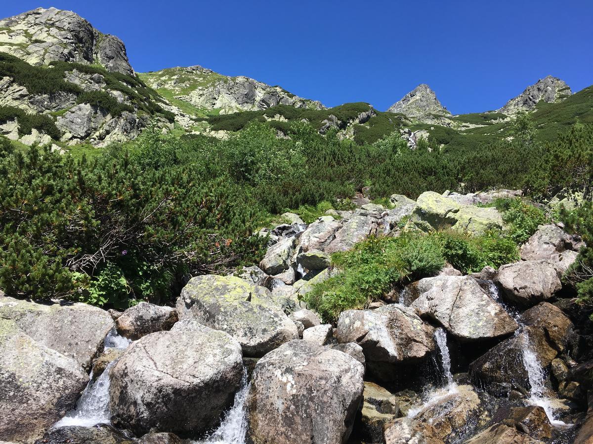 森特洛公寓 Vysoké Tatry 外观 照片